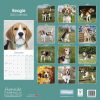 Beagle Calendar 2022-back