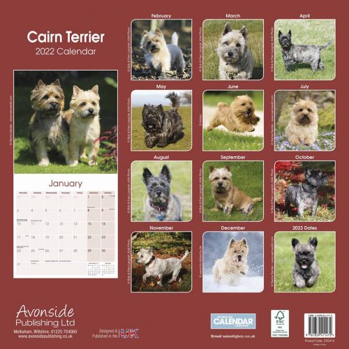 Cairn Terrier Calendar 2022-back