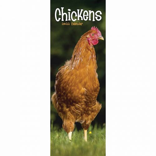 Chickens Slim Calendar 2022-front