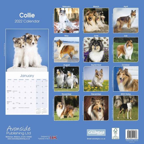 Collie Calendar 2022-back
