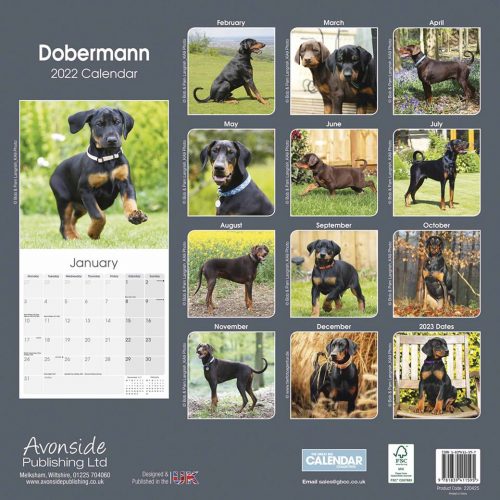 Dobermann Calendar 2022-back
