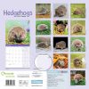 Hedgehogs Calendar 2022-back