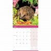 Hedgehogs Calendar 2022-inside