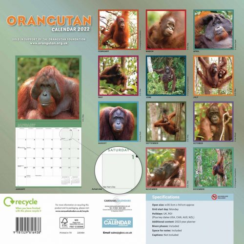 Orangutan Calendar 2022-back
