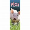 Pigs Slim Calendar 2022-main