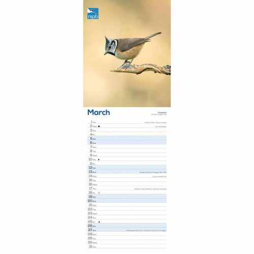 RSPB, Birds Slim Calendar 2022-inside