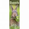 Rabbits Slim Calendar 2022-front