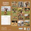 Rhodesian Ridgeback Calendar 2022-back