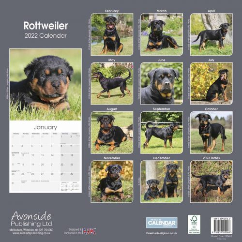 Rottweiler Calendar 2022-back