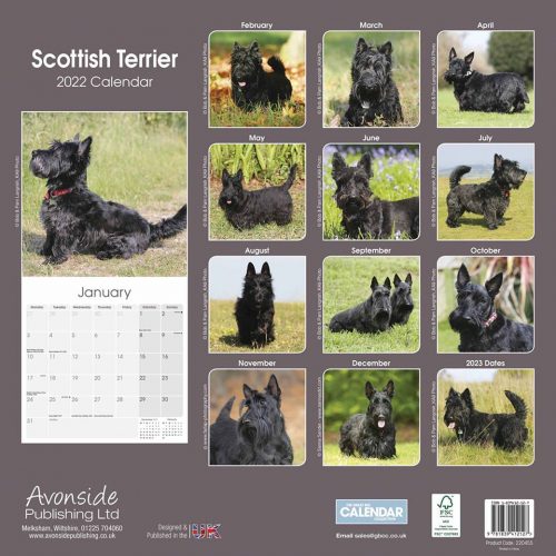 Scottish Terrier Calendar 2022-back