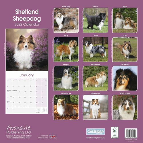 Shetland Sheepdog Calendar 2022-back