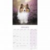 Shetland Sheepdog Calendar 2022-inside