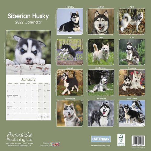Siberian Husky Calendar 2022-back