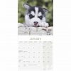 Siberian Husky Calendar 2022-inside