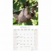 Sloths Calendar 2022-inside