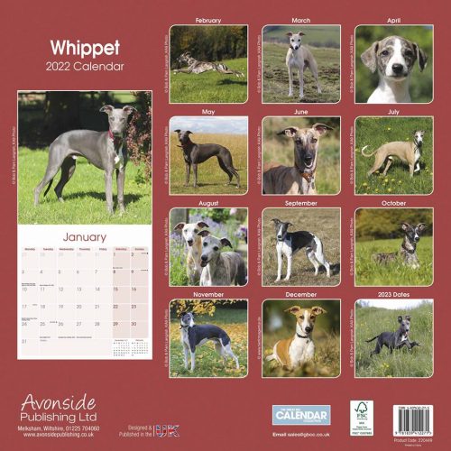 Whippet Calendar 2022-back