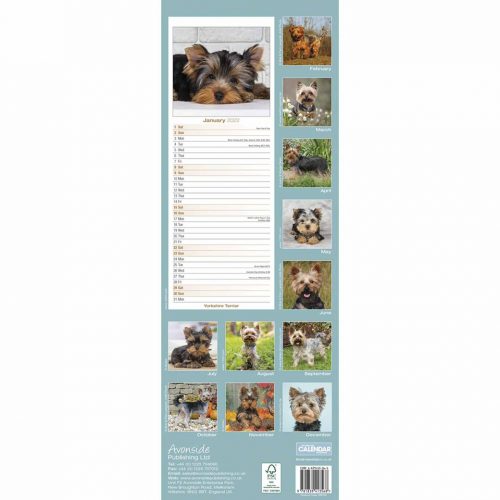 Yorkshire Terrier Slim Calendar 2022-back