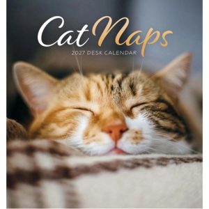 Cat Naps Easel Desk Calendar 2027