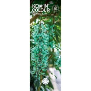Kew In Colour Slim Calendar 2027