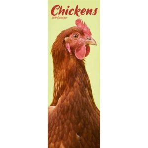 Chickens 2027 Slim Month To View Wall Calendar