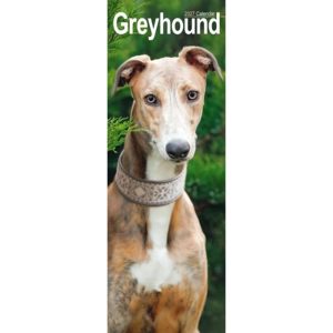 Greyhound Slim Calendar 2027