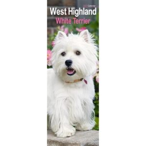 West Highland White Terrier Slim Calendar 2027