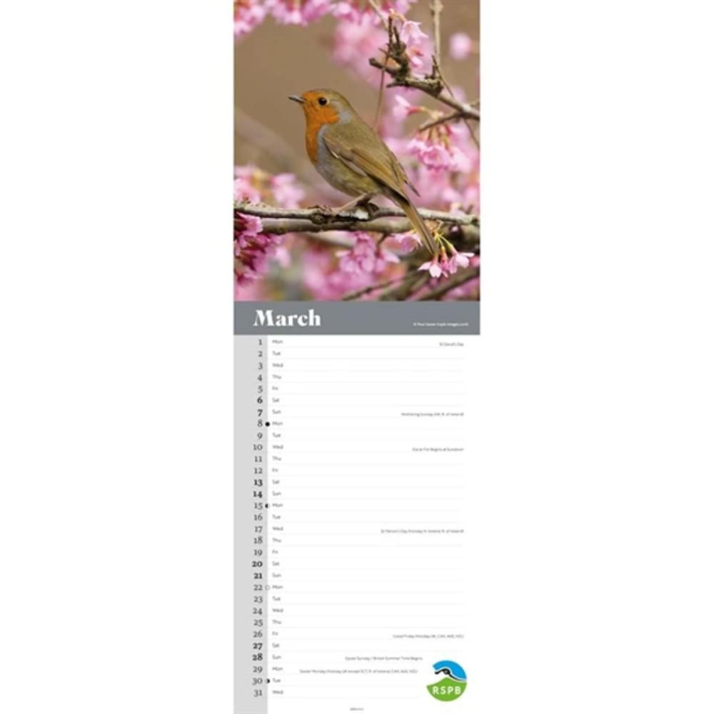 RSPB, Robins 2027 Slim Month To View Wall Calendar - Image 3