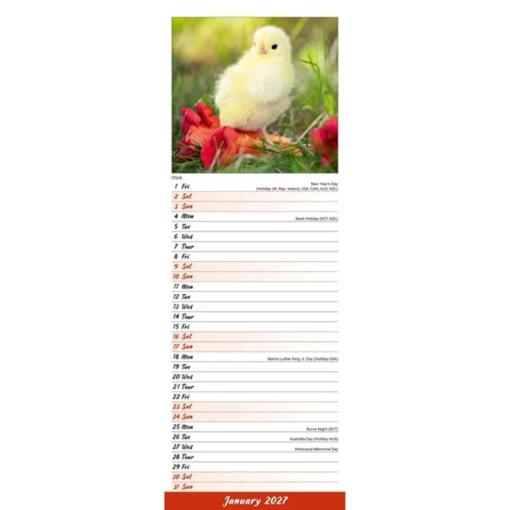 Chickens 2027 Slim Month To View Wall Calendar - Image 3