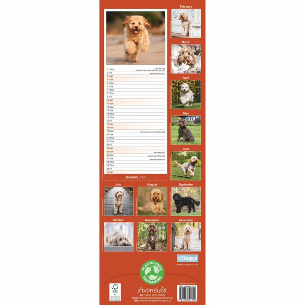 Otter House 2026 Cockapoo Slim Month to View Wall Calendar - Image 2