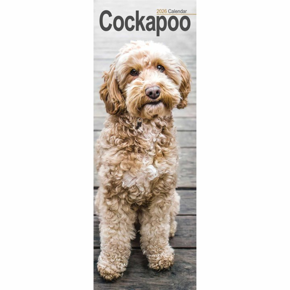 Otter House 2026 Cockapoo Slim Month to View Wall Calendar