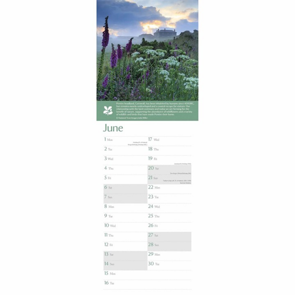 Otter House 2026 Coast & Countryside Slim Month to View Calendar - Image 4