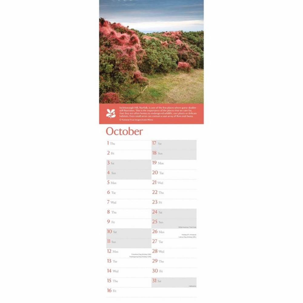 Otter House 2026 Coast & Countryside Slim Month to View Calendar - Image 5