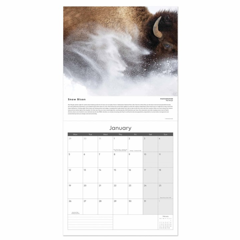 Otter House 2026 Wildlife Photographer Of The Year Large Month To View Wall Calendar - Image 3