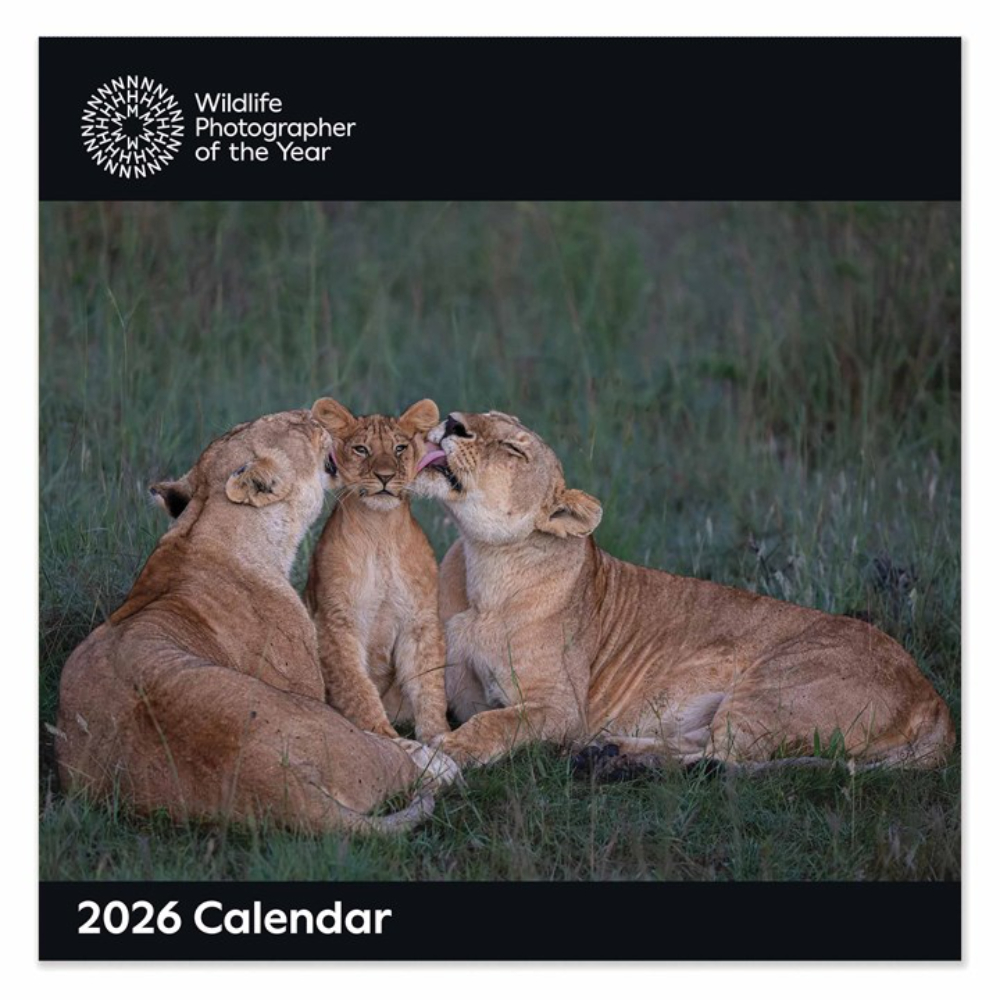 Otter House 2026 Wildlife Photographer Of The Year Large Month To View Wall Calendar