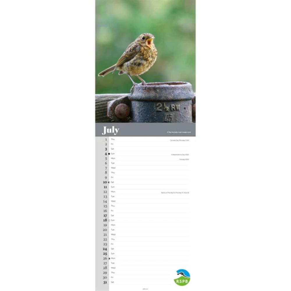 RSPB, Robins 2027 Slim Month To View Wall Calendar - Image 4