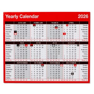 Morgan’s Direct 2027 Year to View Desktop Calendar Free Standing