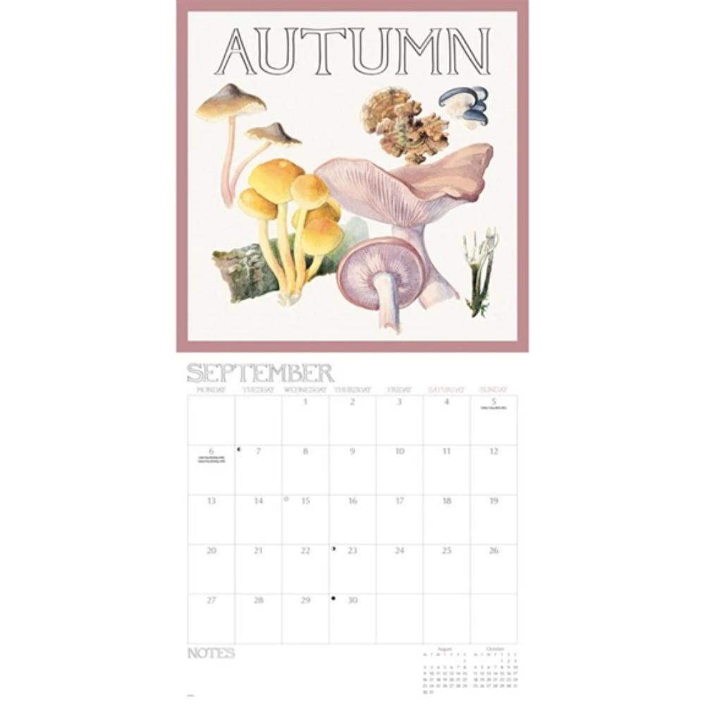 Edith Holden, A Country Diary 2027 Large Month To View Wall Calendar - Image 5