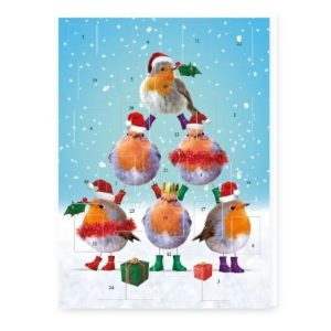 Traditional Christmas Advent Calendar Stacked Robins plus Envelope NO TREATS
