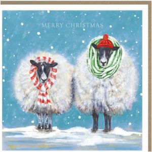 Tracks Charity Christmas Cards Sheep in Woolly Scarves Pack of 5 Cards