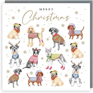 Tracks Charity Christmas Cards Christmas And Snowflakes Dogs Pack of 5 Cards