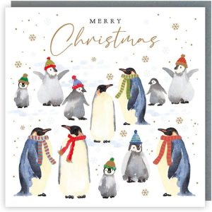 Tracks Charity Christmas Cards Christmas Penguins and Snowflakes Pack of 5 Cards