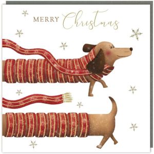 Tracks Charity Christmas Cards Dachshund in Scarf Pack of 5 Cards
