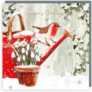 Tracks Charity Christmas Cards Robin and Snowdrops Pack of 5 Cards