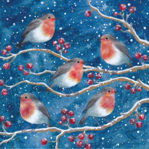 Tracks Charity Christmas Cards Robins & Holly Design Pack of 5 Cards