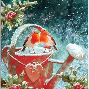 Tracks Charity Christmas Cards Robins on a Snowy Watering Can Design Pack of 5 Cards