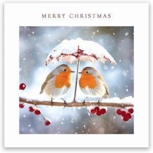 Tracks Charity Christmas Cards Robins Under A Snowy Umbrella Design Pack of 5 Cards
